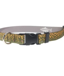 Rep Your Water Brook Trout Dog Collar - Small