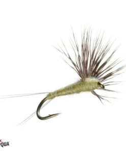 Umpqua Feather Merchants Umpqua Comparadun B.W.O