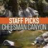 Umpqua Feather Merchants Staff Picked Trout Flies - Cheesman Canyon 2 Umpqua Feather Merchants Staff Picked Trout Flies - Cheesman Canyon