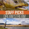 Umpqua Feather Merchants Staff Picked Trout Flies - Dream Stream