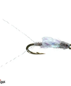 Umpqua Feather Merchants TROUT Umpqua RS2 Sparkle Wing 6 Umpqua Feather Merchants TROUT Umpqua RS2 Sparkle Wing