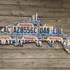 Cody's Fish License Plate Creations - Steelhead