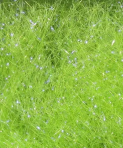 FLY TYING Hareline Ice Dubbing